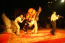 le chant du dindon 037 * 4368 x 2912 * (6.37MB)